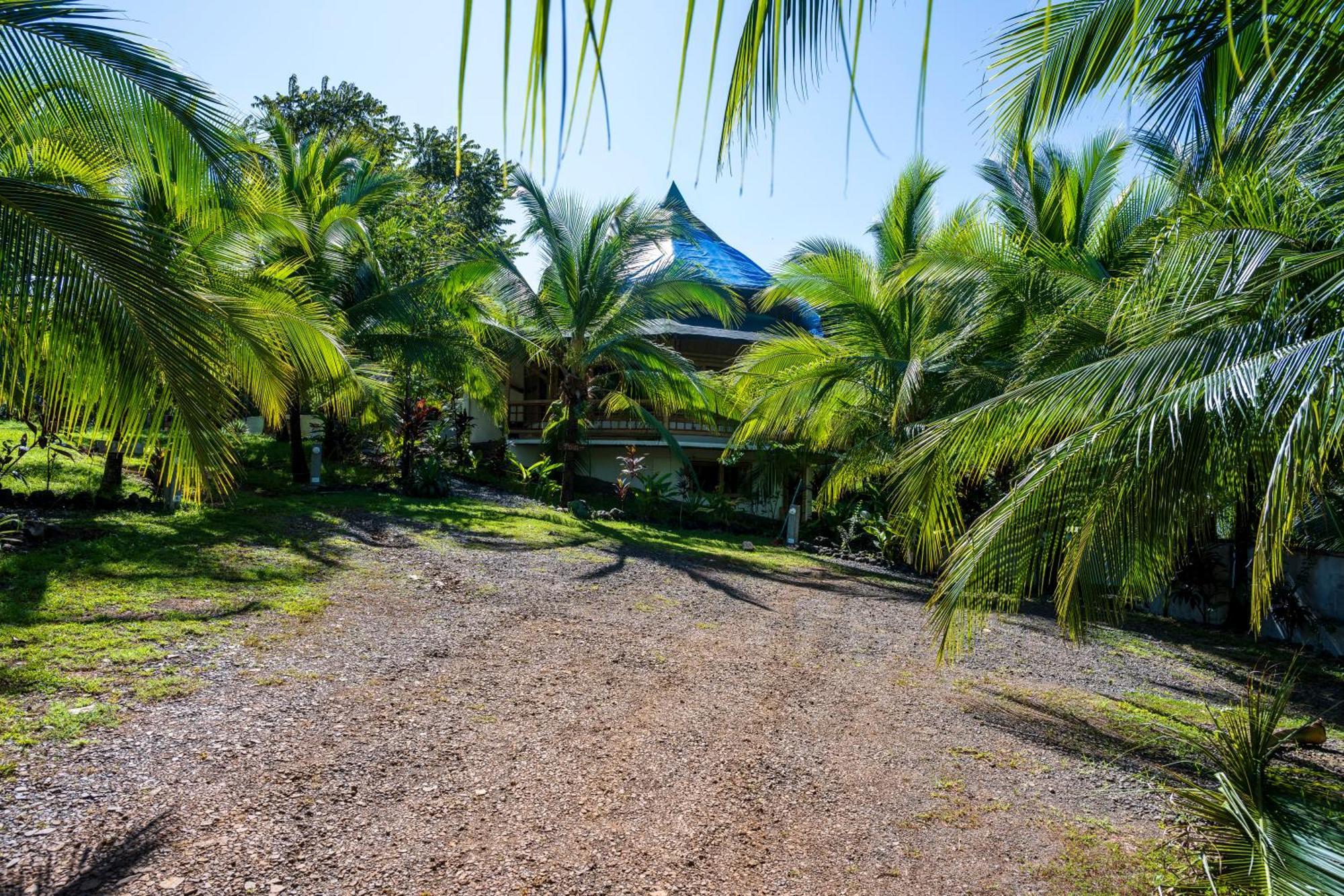 Eco-Lodge Deseo Bamboo Santa Catalina Exterior foto